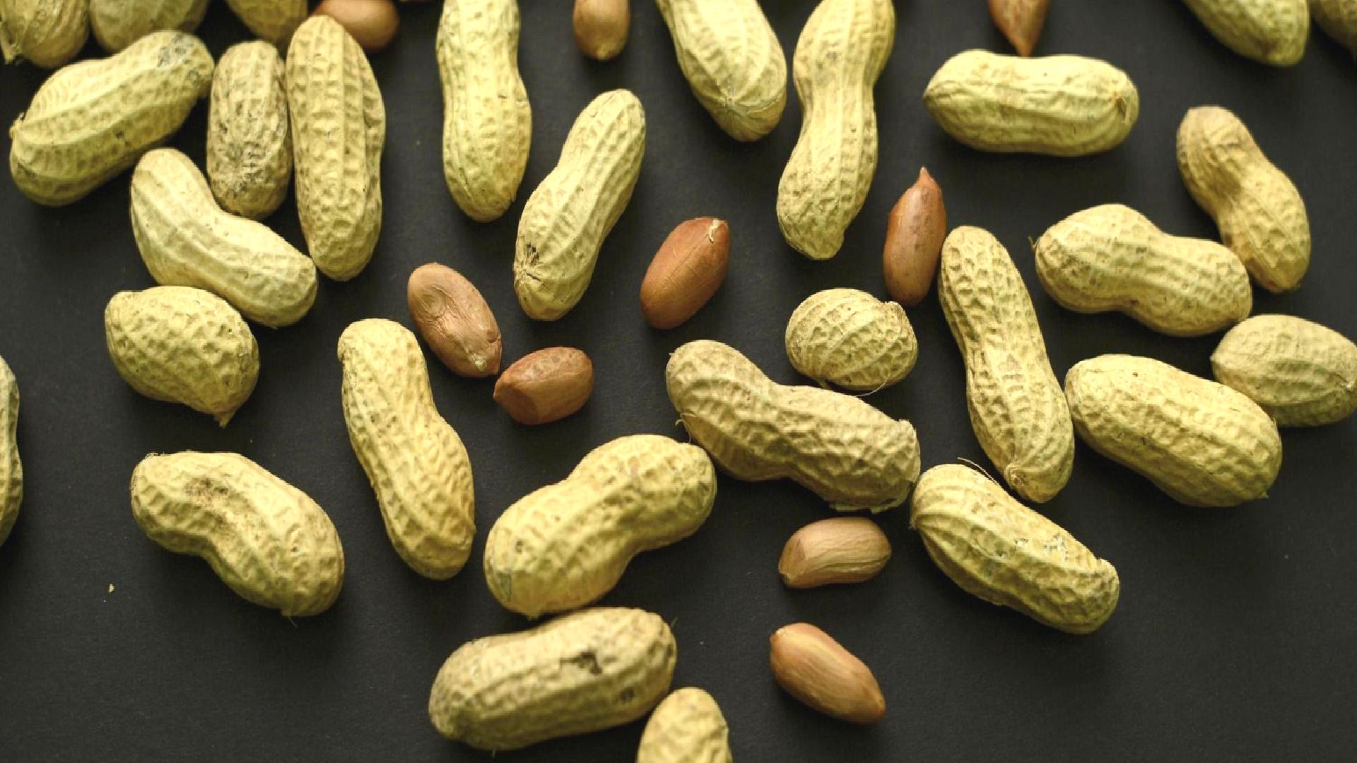 Araştırma: Yer fıstığı yaşlılıkta zihin sağlığını korumaya yardımcı olabilir