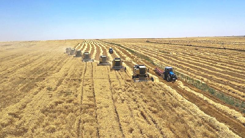 İklim değişikliği tehlikesi, gıda fiyatlarını vuruyor