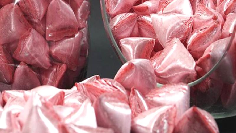 Mehmet Altan yazdı: Karizmanın yelkenleri