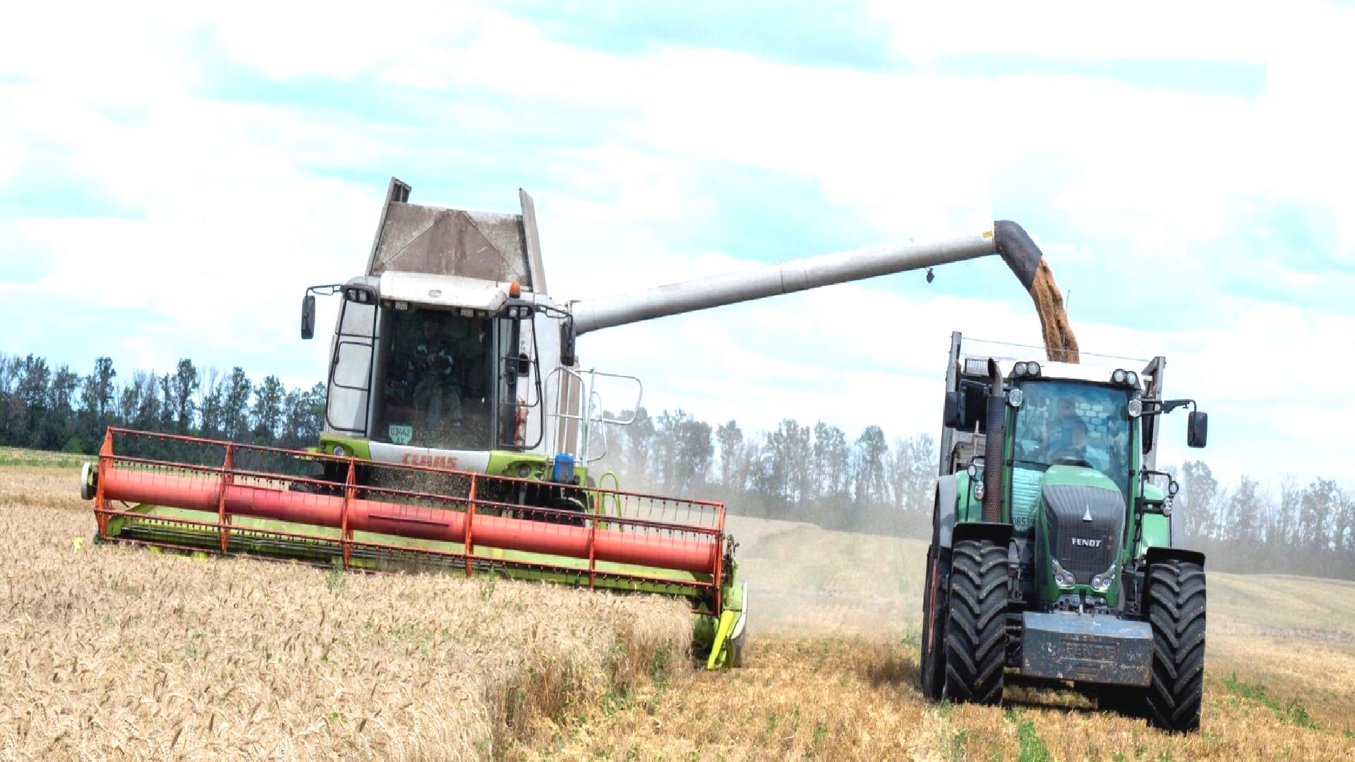 Rus Dışişleri: Tahıl anlaşması kapsamındaki mutabakat çerçevesinde diyaloğa hazırız