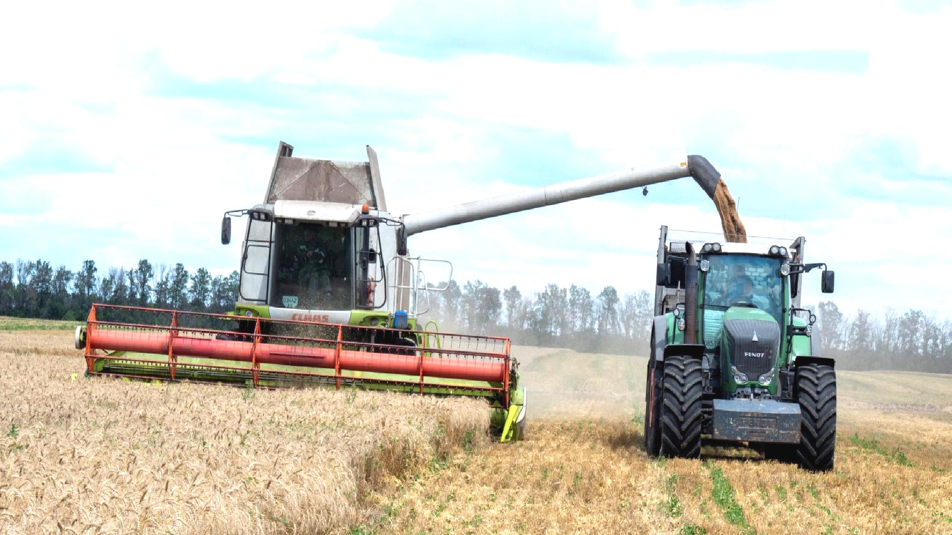 ‘Rusya’nın 18 Temmuz’da tahıl anlaşmasından ayrılma olasılığı yüksek’