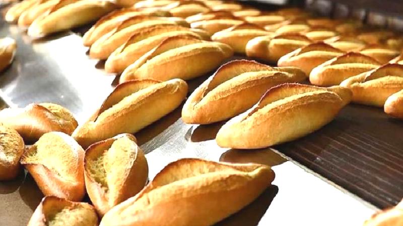 TMO buğday satışını durdurdu; ekmeğe zam kapıda!