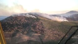 33,5 saatte kontrol altına alınmıştı: Manisa’daki yangında 600 hektar alan zarar gördü