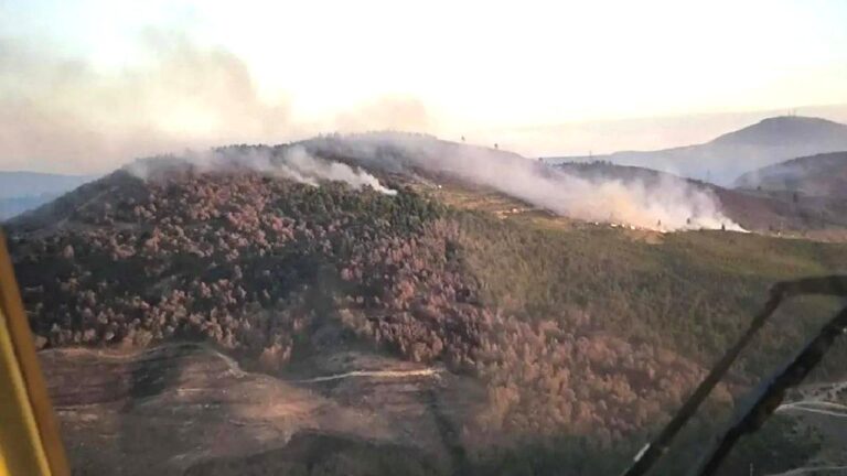 33,5 saatte kontrol altına alınmıştı: Manisa’daki yangında 600 hektar alan zarar gördü