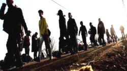 Avrupa Birliği Sınır Güvenliği: Düzensiz göç yüzde otuz oranında düştü