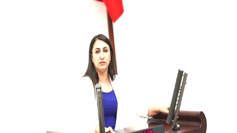 DEM Partili Oduncu: Devlet, üç gün önce evlenen gazeteciye düğün takısı olarak 6 yıl 3 ay hapis cezası verdi