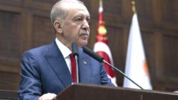 Gazeteci Ersoy Dede: AKP’li vekil, “Cumhurbaşkanımızı tarihe ‘köpekleri öldüren lider’ olarak mı geçirmeye çalışıyorsunuz?” dedi mi?