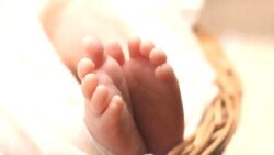 Hükümet doğum oranını artırmak için harekete geçti; 3 çocuğa asgari ücret kadar destek