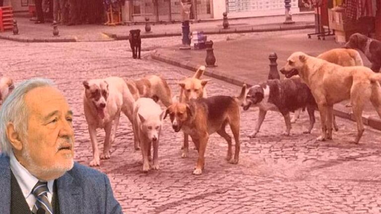 Prof. Dr. İlber Ortaylı anlattı: Atatürk döneminde sokak köpekleri sorunu için hangi tedbirler alındı?