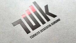 TÜİK: Haziran ayı yurt dışı üretici fiyat endeksi arttı