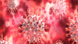 Afrika’da Maymun Çiçeği alarmı: Acil durum ilan edilecek