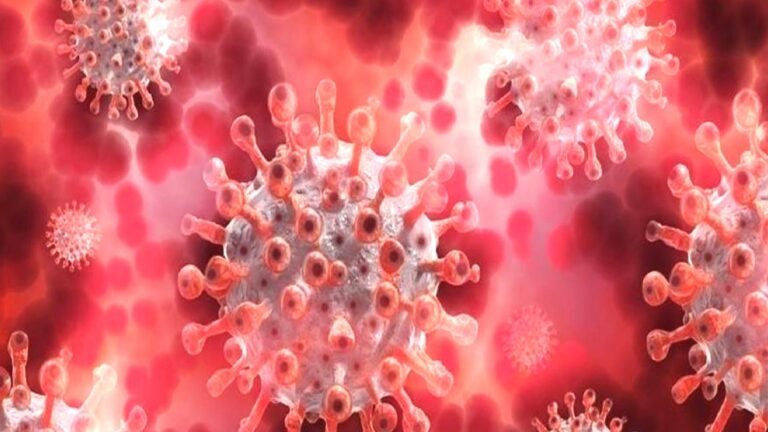 Afrika’da Maymun Çiçeği alarmı: Acil durum ilan edilecek