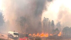 Aydın’daki yangında üç tutuklama