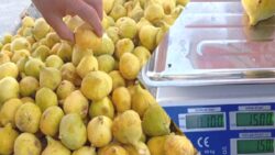 Bir tane incirin fiyatının 15 lira olmasına tepki gösteren vatandaş: Ben bunu nasıl alıp yiyeceğim?