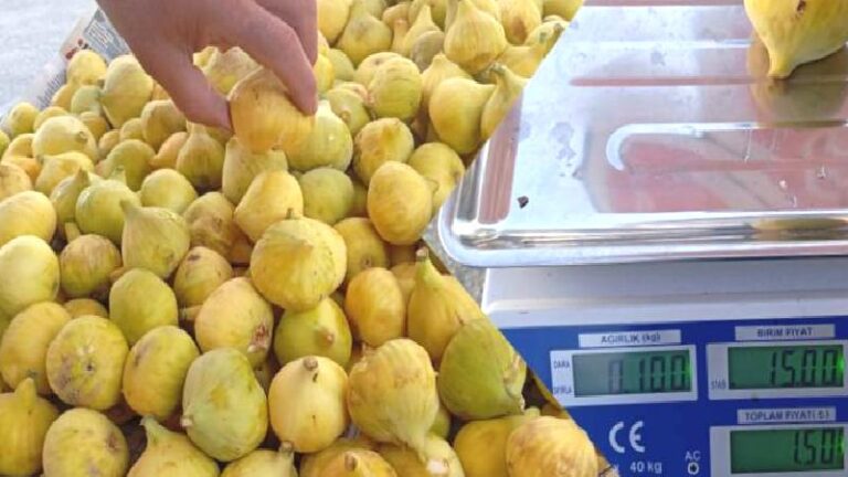 Bir tane incirin fiyatının 15 lira olmasına tepki gösteren vatandaş: Ben bunu nasıl alıp yiyeceğim?