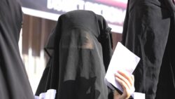 Cammu-Keşmir halkı, 10 yıl aradan sonra ilk defa sandığa gidiyor