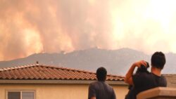 Kaliforniya’daki üç orman yangınında 100 bin dönümden fazla alan kül oldu