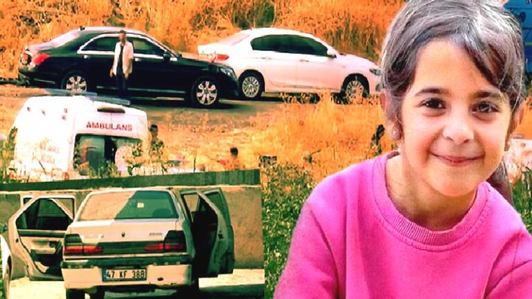 Narin cinayeti: Kim, nerede, nasıl ve neden öldürdü?