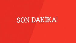 Narin Güran cinayetinde yeni gelişme: Adli tıp kurumu ön raporu açıklandı