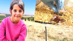 Narin Güran cinayetini çözmek için Adli Tıp Kurumu’nda “dedektif böcekler” kullanılıyor