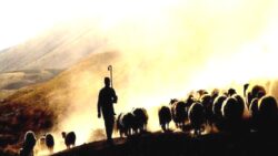 TÜSEDAD Başkanı Solakoğlu: Tarım ve hayvancılığı bırakanların sayısı artacak; Zor günler kapıda!