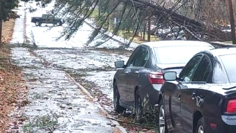 Yagi tayfunu, Çin’i vurdu: Saatte 223 km hızla esen fırtına yüzbinlerce kişiyi evinden etti
