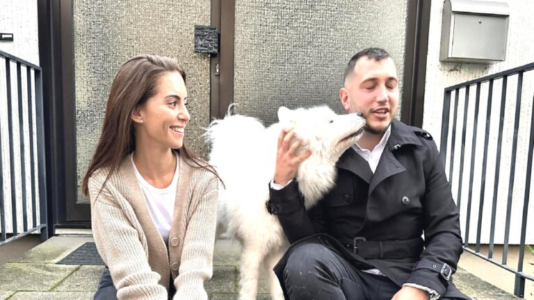 Almanya’da köpekler de vergi veriyor