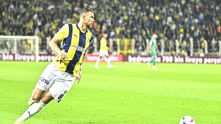 Edin Dzeko: Fenerbahçe beni bunun için buraya getirdi