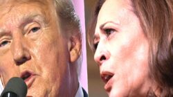 ABD’de seçim günü: Son anketler ne diyor? Tarafların vaatleri neler? Neden ‘iç savaş çıkabilir’ manşetleri atılıyor?