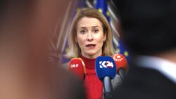 Avusturya, Kallas’ın Ukrayna’daki çatışmayı uzatabileceğini söyledi