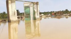 Birleşmiş Milletler, Güney Sudan’da yaşanan sel felaketinden 1.4 milyon kişinin etkilendiğini duyurdu