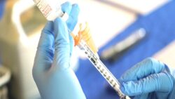 DSÖ, Maymun Çiçeği aşısına acil kullanım onayı verdi