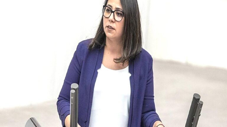 “Sen on binlerce hayvanın katilisin, şerefsiz!” diyen Sera Kadıgil’e uyarı cezası