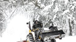 ABD’de 6 eyalette OHAL ilan edildi: Uçak ve tren seferleri iptal oldu