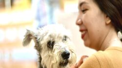 Genç kadının acı sonu: Evdeki köpekleri tarafından yendi