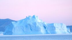 Grönland Başbakanı Egede: Trump ile görüşmeye açığız ancak Grönland, Grönland halkınındır