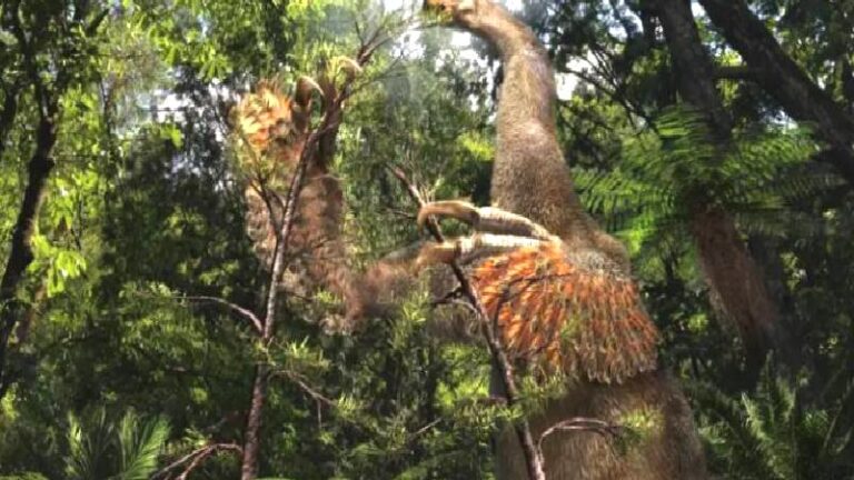 İki pençeli özel bir dinozor türü keşfedildi