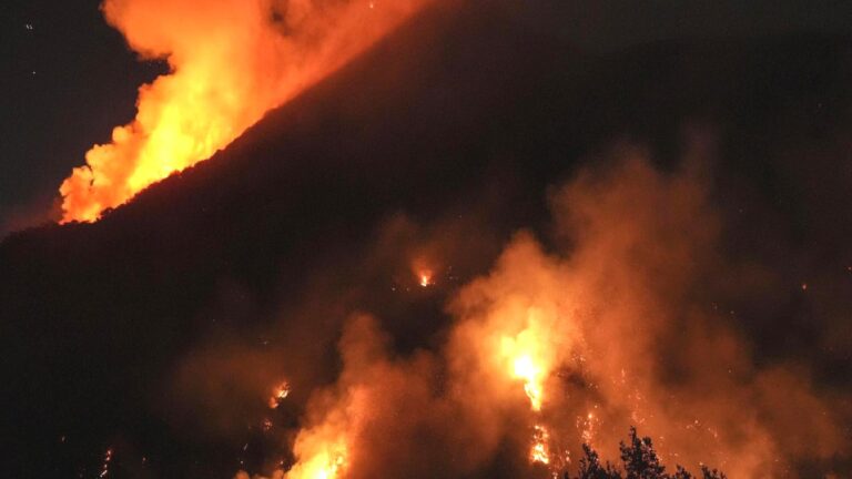 Japonya’da 144 saattir yanan orman kontrol altına alınamadı: 2 bin 100 hektar küle döndü
