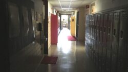 ABD’de kampüse silahlı saldırı: En az dört kişi yaralı