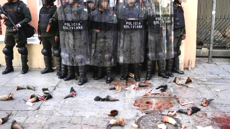 Bolivya’da kasaplar et fiyatlarına isyan etti: Eylemciler, polise inek boynuzu ve bağırsak attı