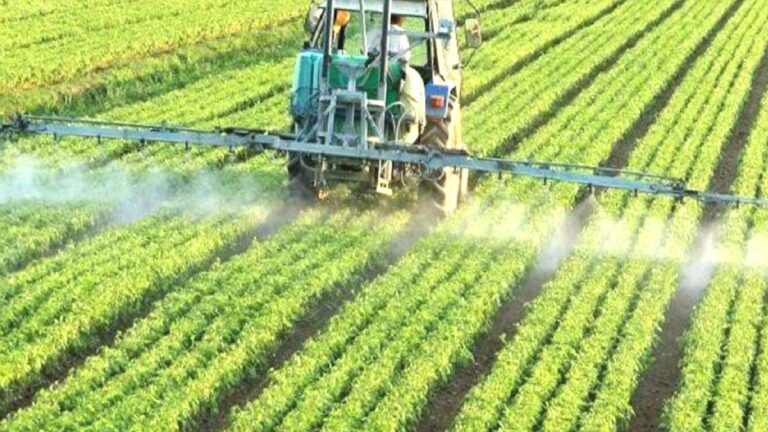 En çok bu gıdalarda rastlandı: Greenpeace, incelediği ürünlerin yüzde 61’inde çoklu pestisist kalıntısı buldu!