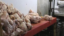 Hijyen kurallarına uymadığı belirlenen tavuk döner imalathanesi 4 günlüğüne kapatıldı