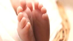 Prof. Dr. Erdoğan: Vajinal doğumda bir sorun yaşandığında doktora “Neden sezaryene almadın” suçlaması yapılıyor