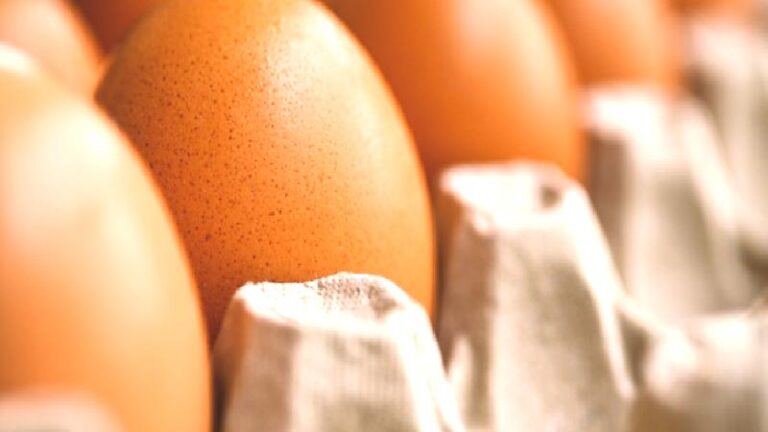 Yumurta fiyatlarındaki artış devam ediyor; 4 ayda yüzde 100 zamlandı