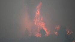 İsrail’de yangın: Yaklaşık 12 bin dönüm alan etkilendi