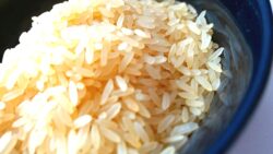 Japonya Tarım Bakanı, ‘hiç pirinç satın almak zorunda kalmadığını’ söyledikten sonra özür diledi