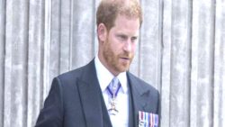 Prens Harry: Ailemle barışmak istiyorum