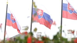 Slovak milletvekili Gaspar: 9 Mayıs ateşkesi Ukrayna görüşmelerini başlatabilir