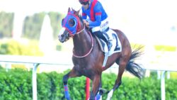 Ünlü jokey Halis Karataş attan düştü: TJK’dan ilk açıklama geldi