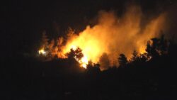 Hatay’da orman yangını: Bin 800 civarında vatandaş tahliye edildi, yaklaşık 160 hane boşaltıldı, 60 hane de zarar gördü